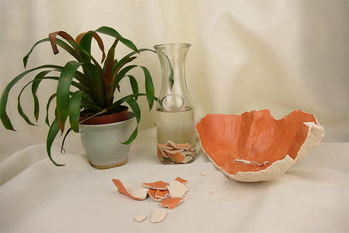 COOP is a compostable bowl made from discarded eggshells,