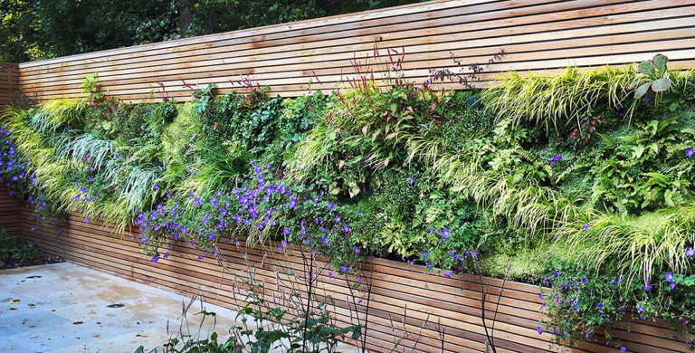 Living plant walls - 5 things you need to know