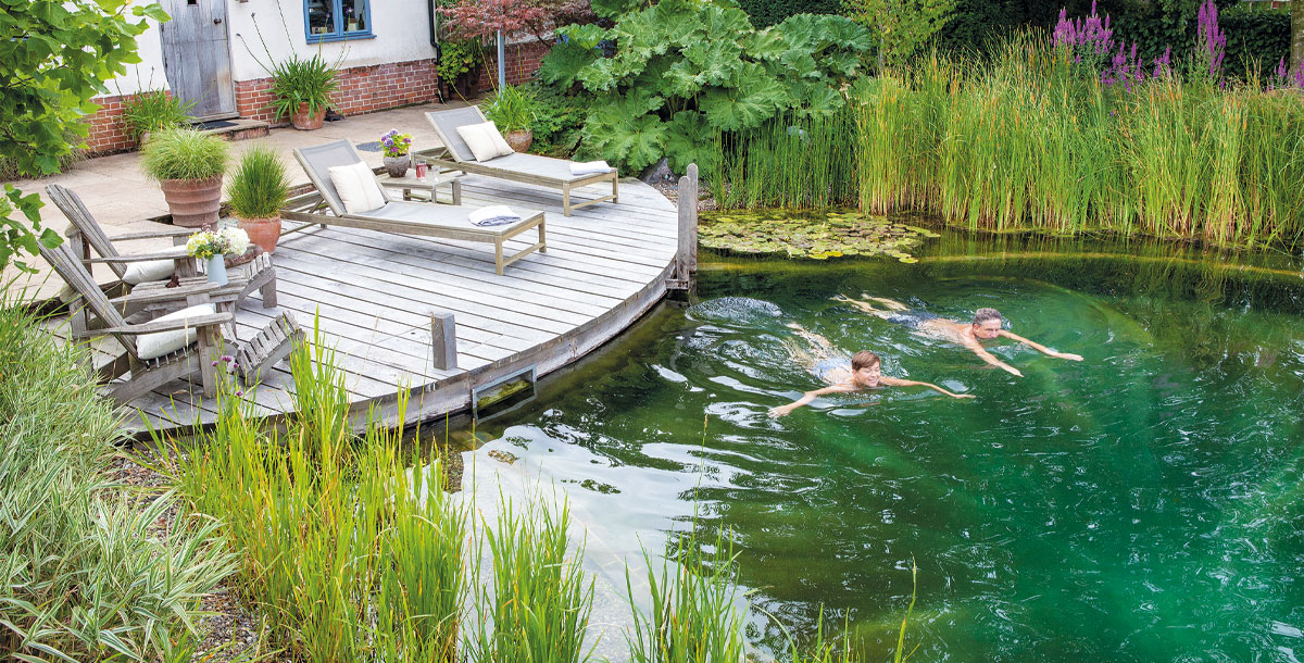 Natural swimming pools: Everything you need to know about building