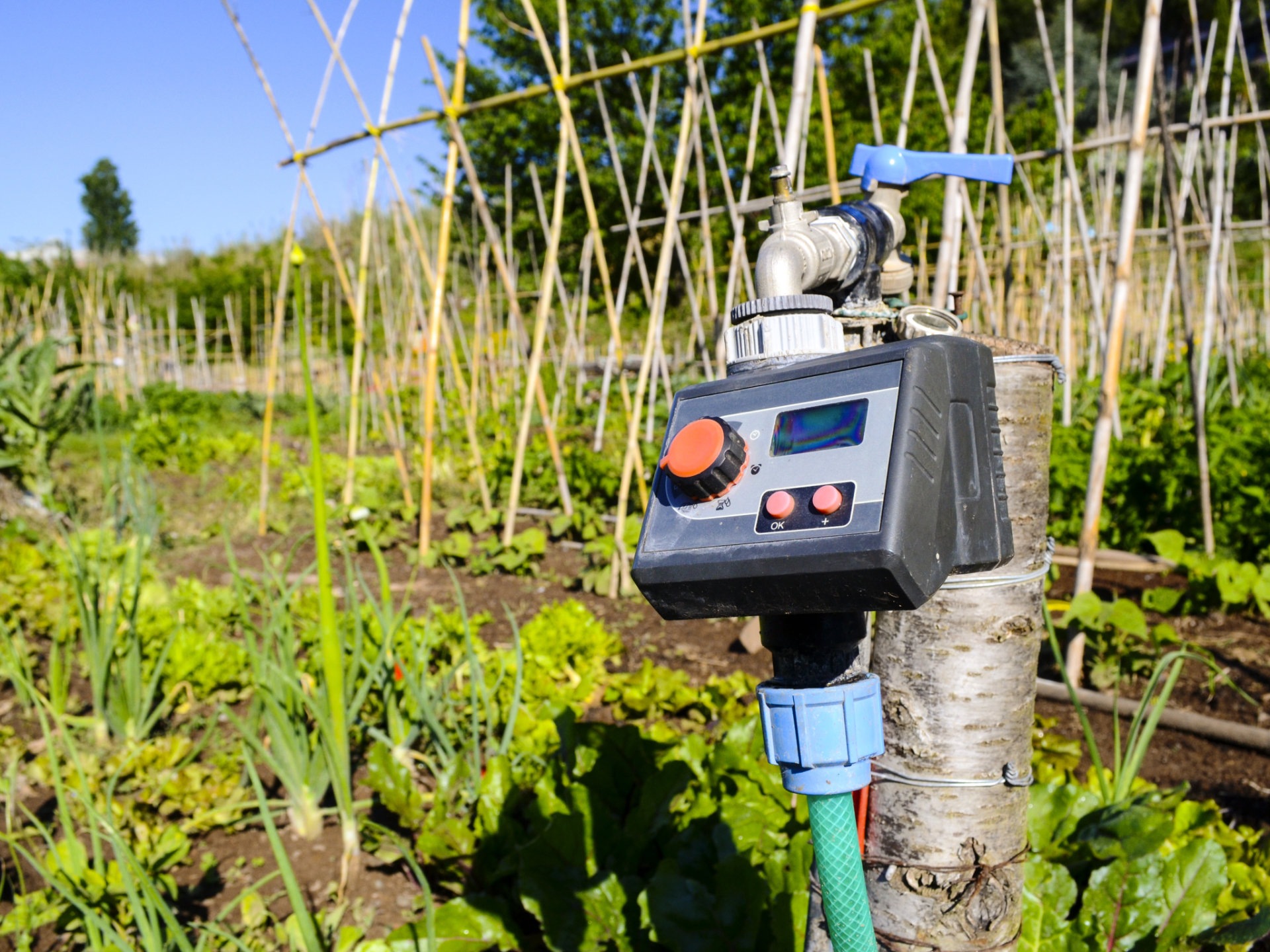 A water controller in a vegetable garden