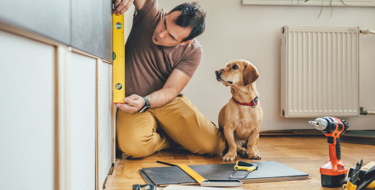 A man and dog do DIY work