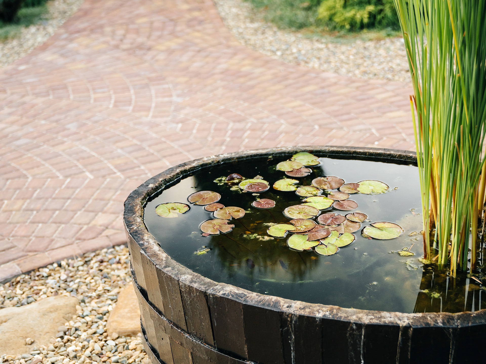 small pond in corner of garden