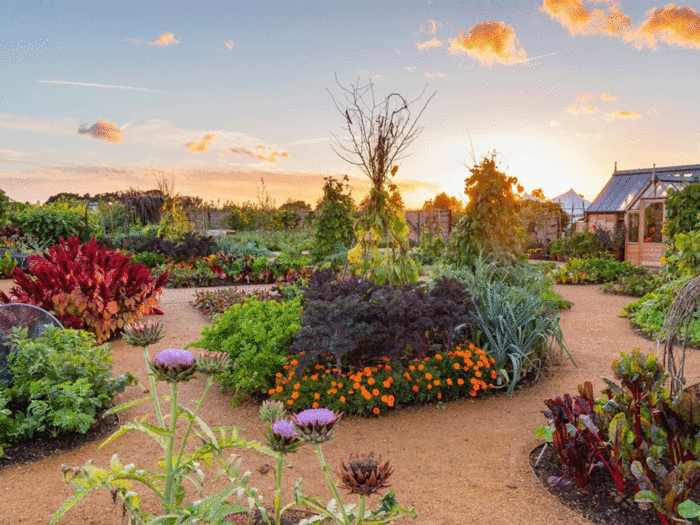 A spectacular example of an edimental garden at The World Food Garden at RHS Wisley